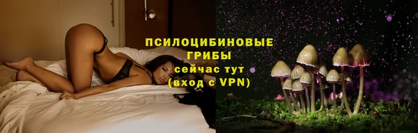 спиды Краснослободск