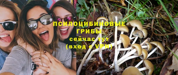 спиды Краснослободск
