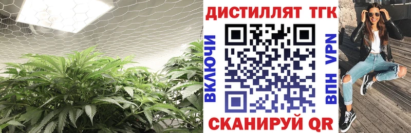 ТГК вейп с тгк  Бердск 