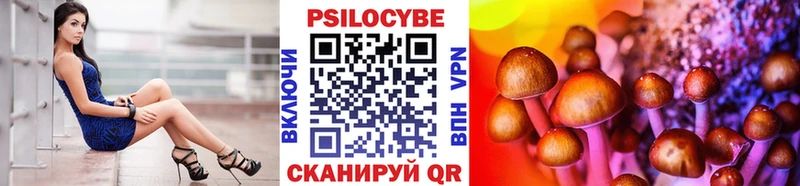 купить наркоту  Бердск  Галлюциногенные грибы Psilocybe 